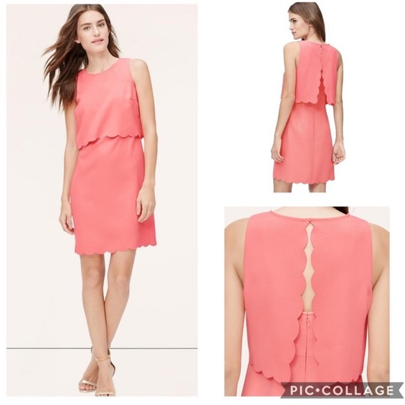 Loft 4 crop illusion scallop - Picture 2 of 7